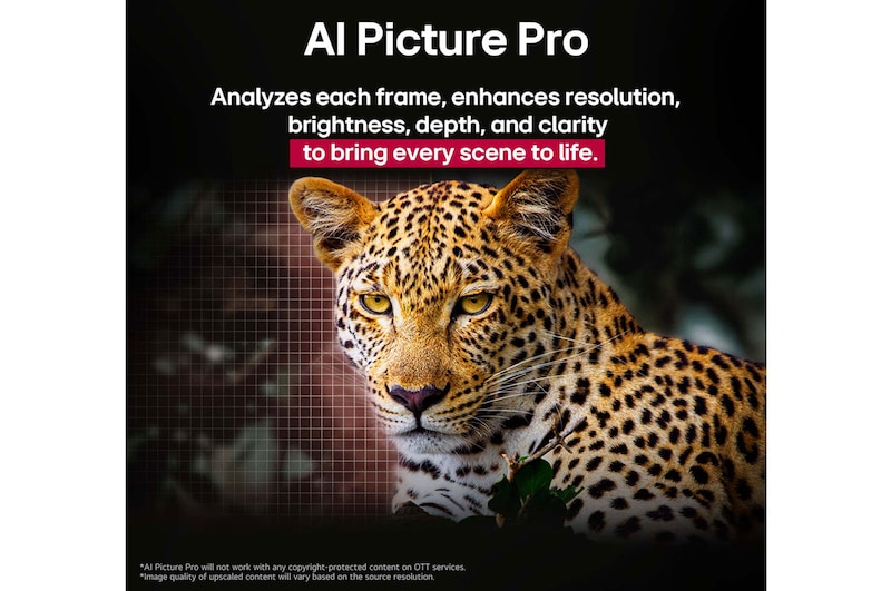 Leopárd az erdőben élénk színekkel és részletességgel. A leopárd mögött egy rács és fény csillog, jelezve, hogy az LG AI Picture Pro impresszív látványfejlesztést hajtott végre a jelenet felbontásán, fényerején, mélységén és tisztaságán.