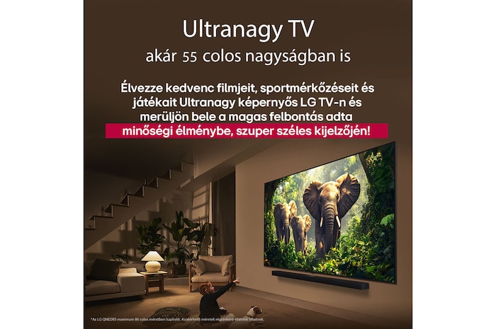 Egy lány és egy kutya ülnek egy LG Soundbar feletti falra szerelt LG QNED TV előtt, amelyen három, kifelé sétáló elefánt látható. A cím arról szól, minden mozzanat mennyivel izgalmasabb egy masszív képernyőn.