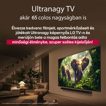 Egy lány és egy kutya ülnek egy LG Soundbar feletti falra szerelt LG QNED TV előtt, amelyen három, kifelé sétáló elefánt látható. A cím arról szól, minden mozzanat mennyivel izgalmasabb egy masszív képernyőn.