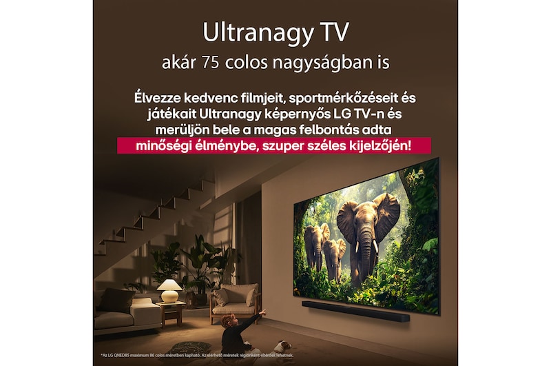 Egy lány és egy kutya ülnek egy LG Soundbar feletti falra szerelt LG QNED TV előtt, amelyen három, kifelé sétáló elefánt látható. A cím arról szól, minden mozzanat mennyivel izgalmasabb egy masszív képernyőn.