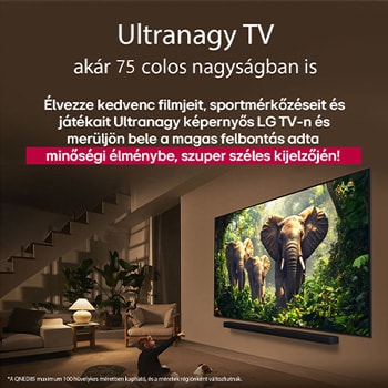 Egy lány és egy kutya ülnek egy LG Soundbar feletti falra szerelt LG QNED TV előtt, amelyen három, kifelé sétáló elefánt látható. A cím arról szól, minden mozzanat mennyivel izgalmasabb egy masszív képernyőn.