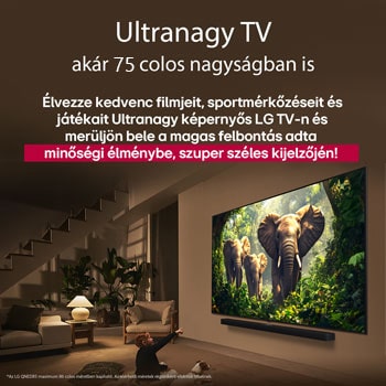 Egy lány és egy kutya ülnek egy LG Soundbar feletti falra szerelt LG QNED TV előtt, amelyen három, kifelé sétáló elefánt látható. A cím arról szól, minden mozzanat mennyivel izgalmasabb egy masszív képernyőn.