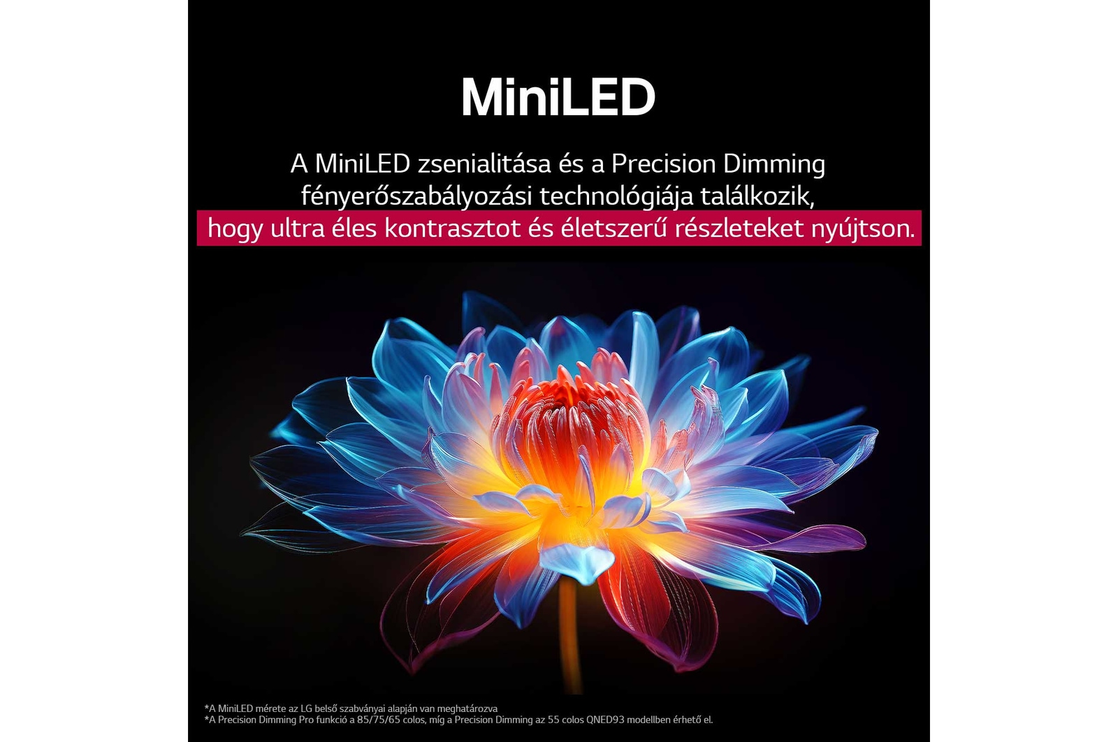 Papegaai op een boomtak in levendige kleur. De titel bespreekt hoe LG Al Picture Pro indrukwekkende visuele verbeteringen maakt in de resolutie, helderheid en diepte van de scene.