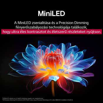 Papegaai op een boomtak in levendige kleur. De titel bespreekt hoe LG Al Picture Pro indrukwekkende visuele verbeteringen maakt in de resolutie, helderheid en diepte van de scene.