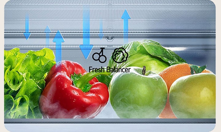 LG alulfagyasztós hűtő FRESH Balancer™ fiókjában nyilakkal illusztrált páramozgás.