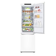 LG Alulfagyasztós hűtőszekrény, DoorCooling⁺™ technológia, 384L kapacitás, GBB72SWVGN