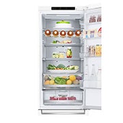 LG Alulfagyasztós hűtőszekrény, DoorCooling⁺™ technológia, 384L kapacitás, GBB72SWVGN