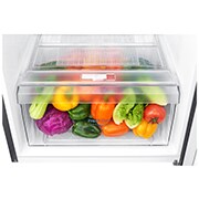 LG Felülfagyasztós hűtőszekrény, DoorCooling⁺™ technológia, 209L kapacitás, GTB382PZCMD