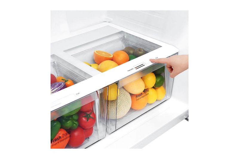 LG Felülfagyasztós hűtőszekrény, DoorCooling⁺™ és ThinQ™ technológia, 592L kapacitás, GTF916PZPED