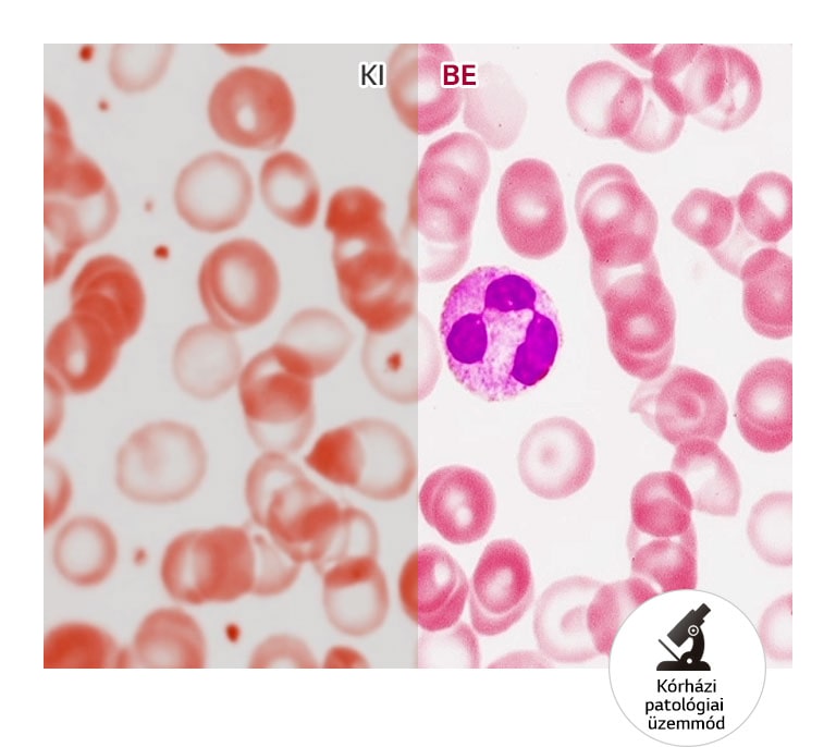 Valósághű színek1