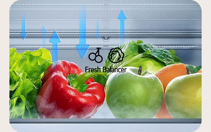 LG alulfagyasztós hűtő FRESH Balancer™ fiókjában nyilakkal illusztrált páramozgás.