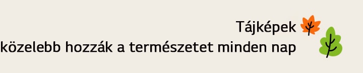 Tájképek közelebb hozzák a természetet minden nap