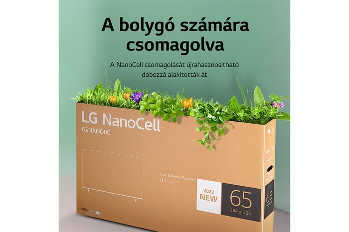 LG NanoCell 50" NANO76 4K TV HDR Smart (127 cm), 50NANO763QA