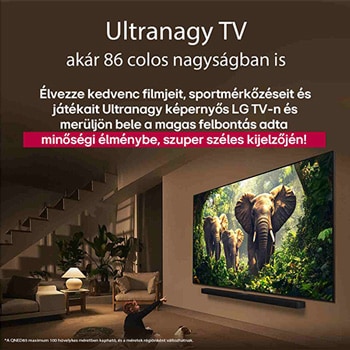 Egy lány és egy kutya ülnek egy LG Soundbar feletti falra szerelt LG QNED TV előtt, amelyen három, kifelé sétáló elefánt látható. A cím arról szól, minden mozzanat mennyivel izgalmasabb egy masszív képernyőn.