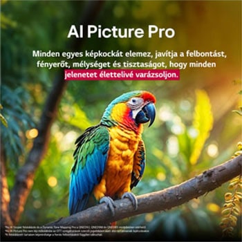 Élénk színű papagáj egy faágon. A cím arról szól, hogy az LG Al Picture Pro impresszív képfejlesztést végzett a jelenet felbontása, fényereje, mélysége és tisztasága érdekében.
