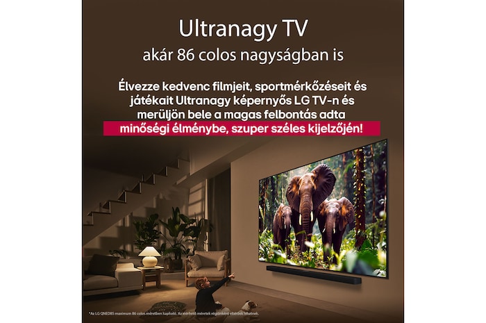 Egy lány és egy kutya ülnek egy LG Soundbar feletti falra szerelt LG QNED TV előtt, amelyen három, kifelé sétáló elefánt látható. A cím arról szól, minden mozzanat mennyivel izgalmasabb egy masszív képernyőn.