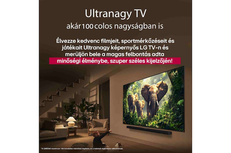 Egy lány és egy kutya ülnek egy LG Soundbar feletti falra szerelt LG QNED TV előtt, amelyen három, kifelé sétáló elefánt látható. A cím arról szól, minden mozzanat mennyivel izgalmasabb egy masszív képernyőn.