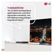 LG OLED evo C2 65" 4K Smart TV, OLED65C22LB