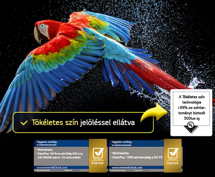 Egy színes papagáj ultranagy felbontásban, fekete háttér előtt. Vízcseppek lebegnek a levegőben körülötte. A kép bemutatja a Tökéletes Színt, mivel a papagáj testén minden egyes árnyalat élénk és vibráló. Különböző logó tanúsítványok láthatóak az UL és Intertek-től, amelyek a 100%-os színhűséget (Color Fidelity) és 100%-os színskálát (Color Volume) tanúsítják. Szöveg is látható: "Ellenőrizze a Perfect Color tanúsítvány jelölést".