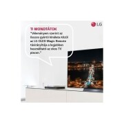 LG OLED evo 65" G2 4K TV HDR Smart (164 cm), OLED65G23LA