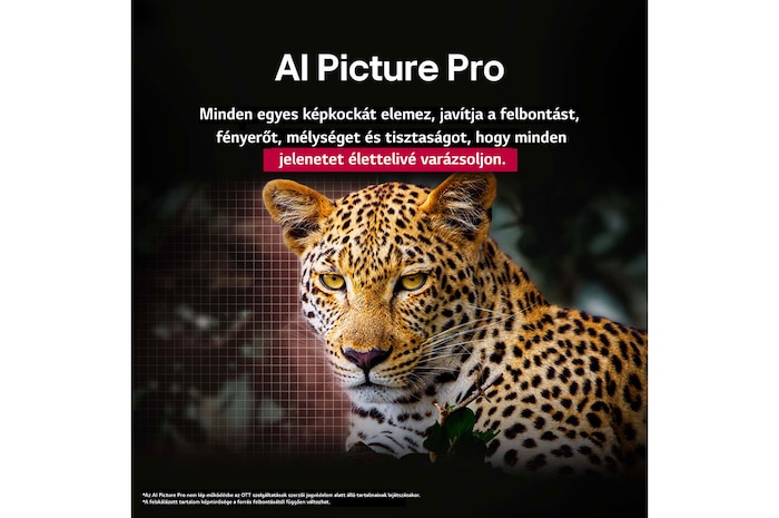 AI Picture Pro LG OLED evo AI TV-n összefoglalva
