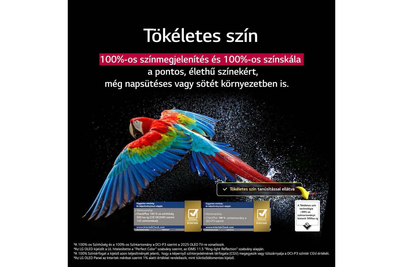 Tökéletes színek LG OLED evo AI TV-n összefoglalva