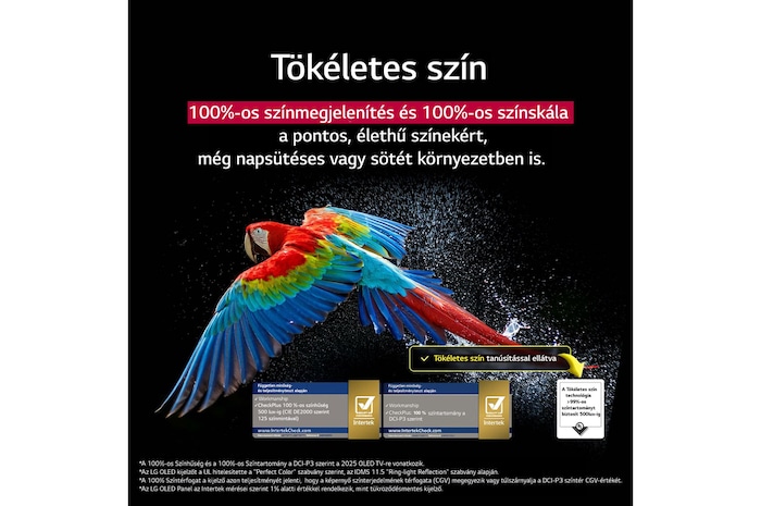 Tökéletes színek LG OLED evo AI TV-n összefoglalva
