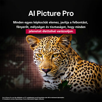 AI Picture Pro összefoglalva