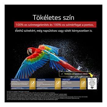 Tökéletes szín összefoglalva