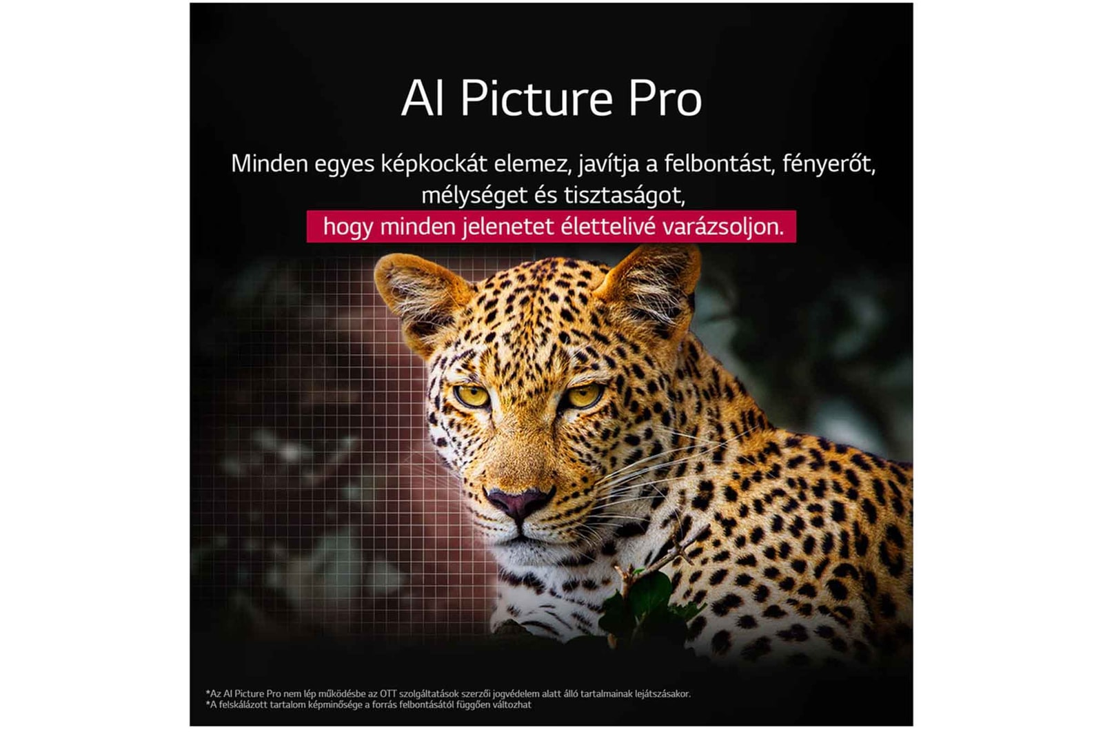 AI Picture Pro összefoglalva