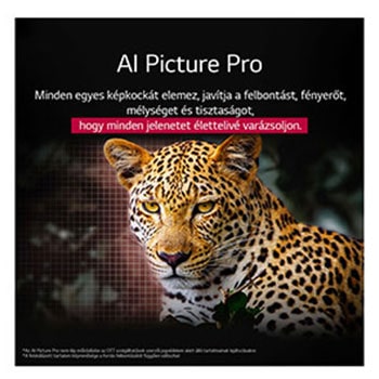 AI Picture Pro összefoglalva
