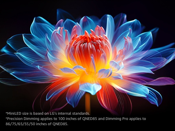 Sebuah bunga digambarkan dalam keadaan mekar penuh. Layar terbagi menjadi dua bagian, menampilkan overlay grid di atas sisi kiri bunga, sementara sisi kanan bunga berwarna merah, kuning, biru, dan ungu yang cerah.