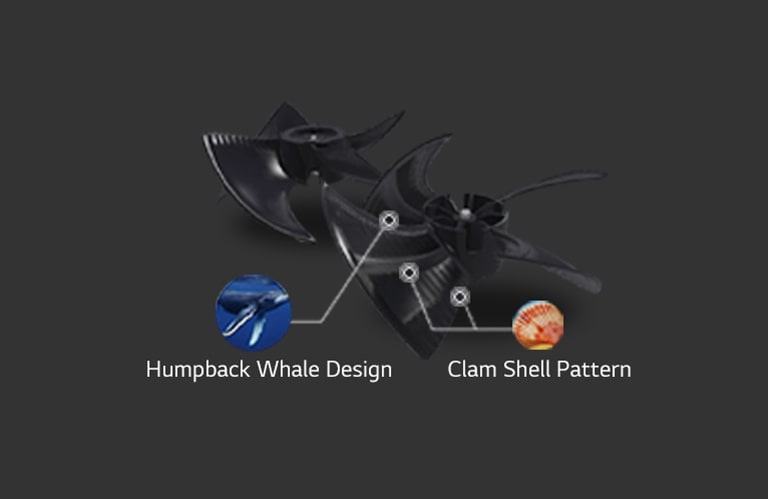 Image explaining the biomimetics technology of Multi V 5.