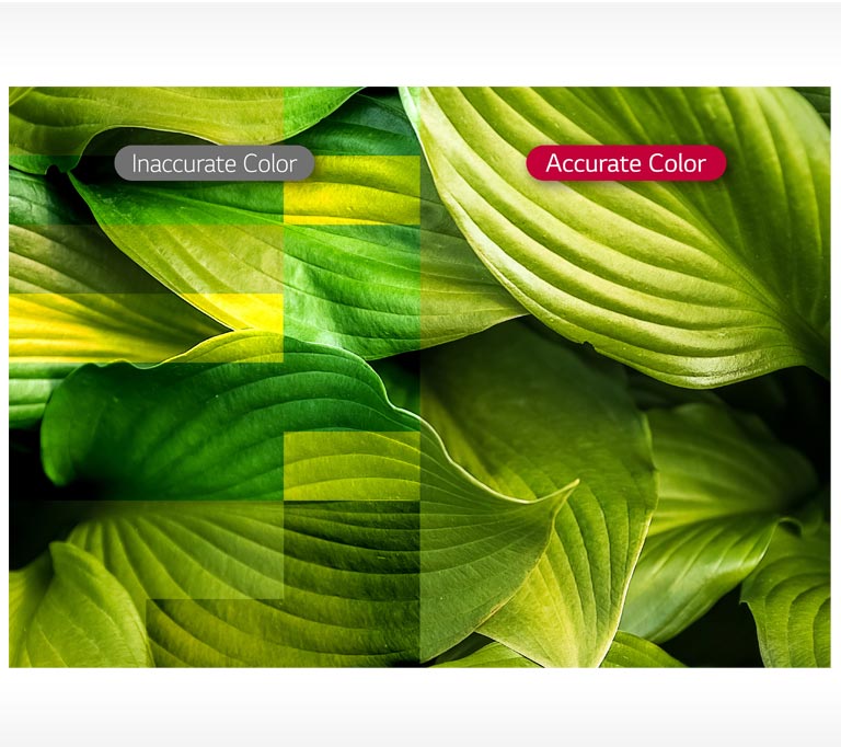 D09_ID-LED-07-Vividness-with-Color-Accuracy__1554427217880