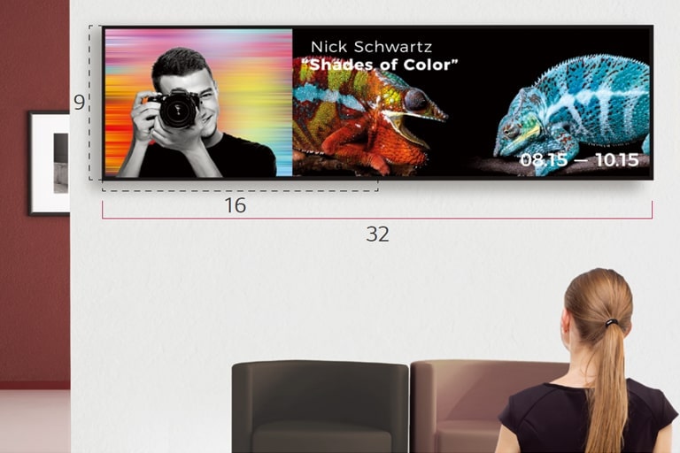 A woman is looking at the artist's photos and exhibition information displayed on one wide screen.