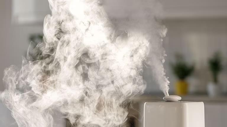 Humidifier Yang Dapat Membantu Anda Memerangi Rumah yang Kering