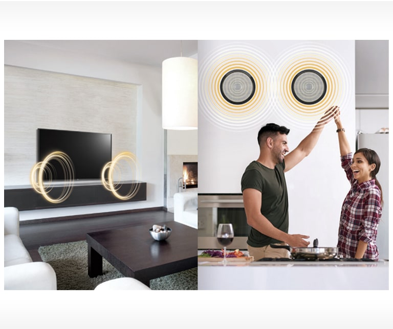 Speaker Eksternal Out1