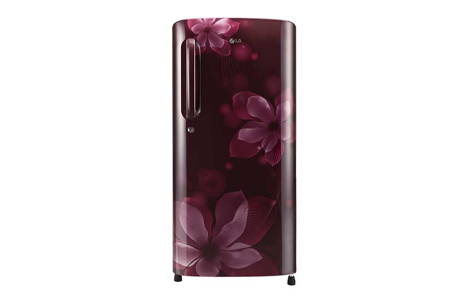 LG Kulkas 1 Pintu - Smart Inverter , GL-L201APLB