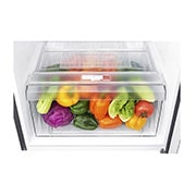 LG Kulkas 2 Pintu 202L gross/ 187L nett Smart Inverter dengan Multi Air Flow dan LED Lighting - Black Purple, GN-B185SQBP
