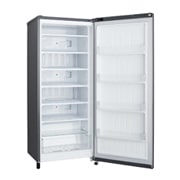 LG Freezer 1 Pintu 171L dengan Bio Shield dan Rak Tempered Glass - Silver, GN-IN304SLS