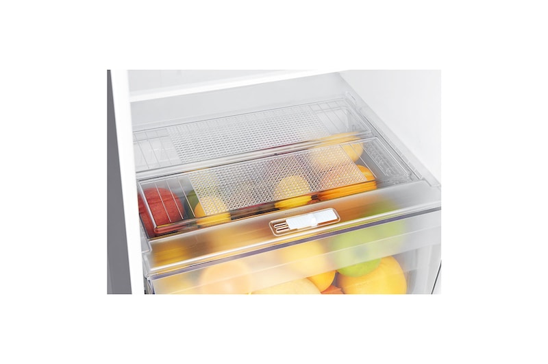 LG 225L / 209L Kulkas 2 Pintu, GN-B215SQMT