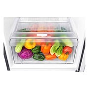 LG Kulkas 2 Pintu 272L gross/ 254L nett Smart Inverter dengan Multi Air Flow dan Moist Balance Crisper - Dark Graphite Steel, GN-B272SQCB
