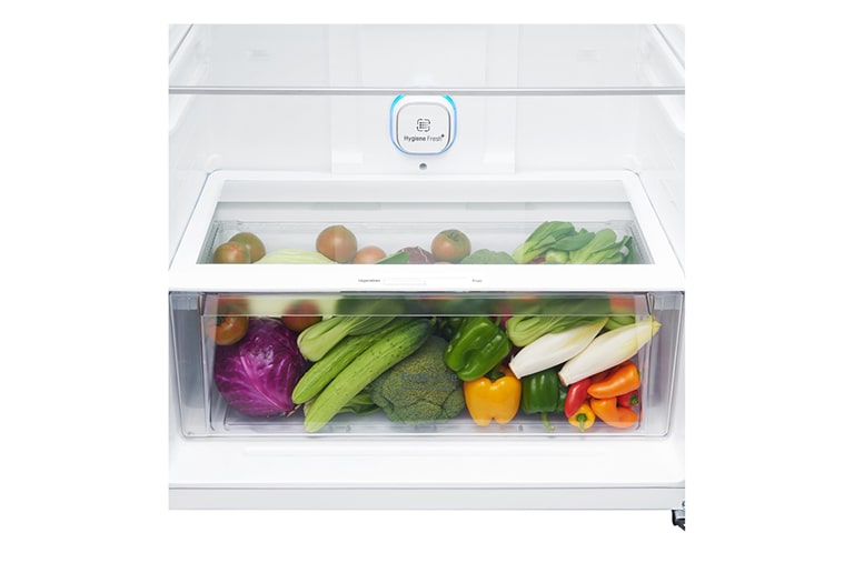 LG Kulkas 2 Pintu  547L gross / 509L nett Inverter Linear Compressor dan Hygiene FRESH+™, ThinQ™ dengan WiFi - Hitam, GN-C702SGGU