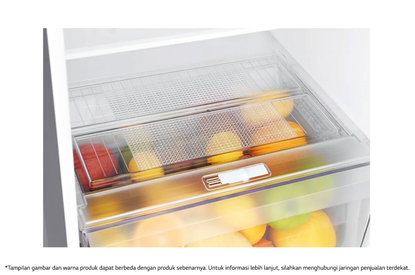 LG Kulkas 2 Pintu 333L gross / 312L nett Inverter Smart Compressor dan Door Cooling+™ - Platinum, GN-G372SLCB