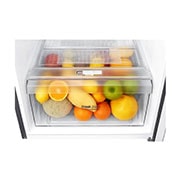 LG Kulkas 2 Pintu 333L gross / 312L nett Inverter Smart Compressor dan Door Cooling+™ - Platinum, GN-G372SLCB