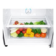 LG Kulkas 2 Pintu 437L gross/410L nett Inverter Linear Compressor dengan Door Cooling+™ dan Hygiene Fresh+™, ThinQ™ dengan WiFi - Platinum Silver, GN-H452HLHN
