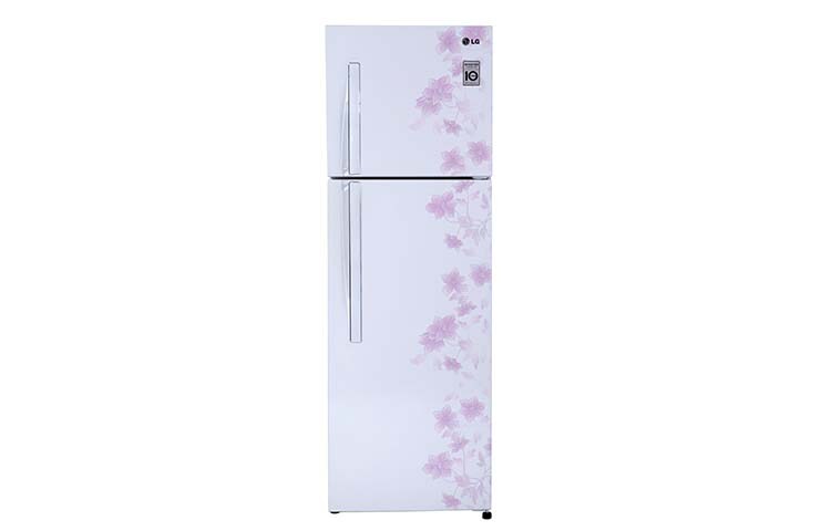 Front view of EXPERIENCE THE REAL FRESHNESS &amp; CONVENIENCE WITH ENERGY SAVING GN-B252RPCL