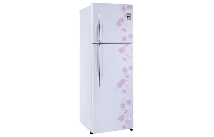 LG EXPERIENCE THE REAL FRESHNESS & CONVENIENCE WITH ENERGY SAVING, GN-B252RPCL