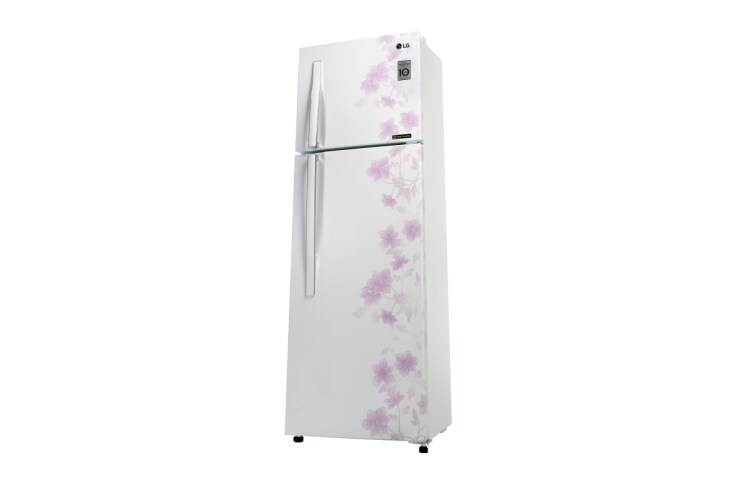 LG EXPERIENCE THE REAL FRESHNESS & CONVENIENCE WITH ENERGY SAVING, GN-B252RPCL