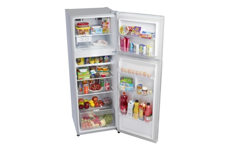 LG EXPERIENCE THE REAL FRESHNESS & CONVENIENCE WITH ENERGY SAVING, GN-B372RPNL